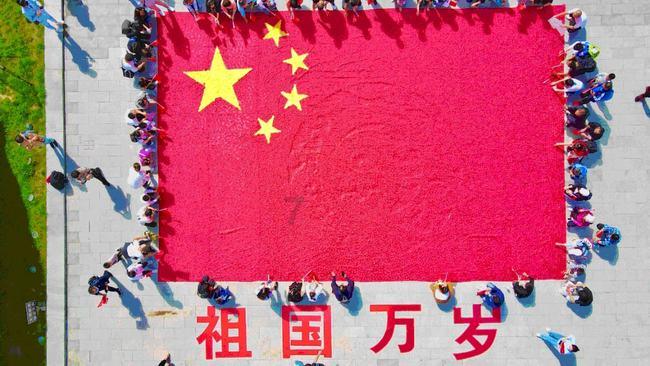 逗小猴开心系列167